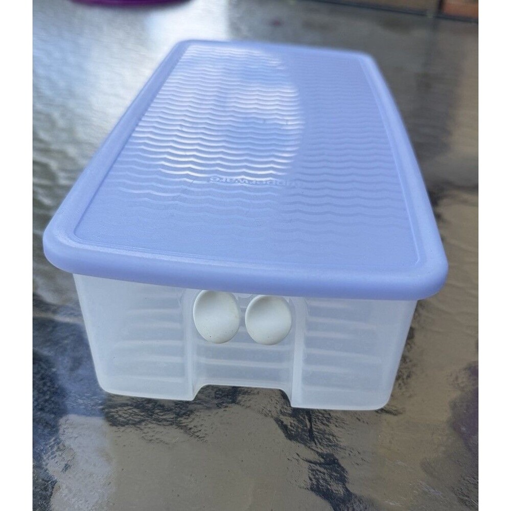 Tupperware Fridge Smart Fruit Vegetable Rectangle Container, #4352B-3